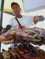 Veda de cangrejo 2026