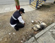 El caso se difundió en redes sociales de la alcaldesa.