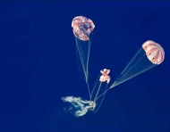 Captura de imagen de una transmisión de la NASA de la capsula Orión, con los tripulantes de Artemis II, luego de amerizar en el Pacífico.
