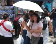 En ciudades como Guayaquil, el pavimento y la falta de vegetación intensifican el calor y lo hacen más persistente.