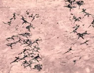 Pintura rupestre que muestra un enfrentamiento bélico, en el Parque Nacional Tassili n’Ajjer, Argelia, al norte de África.