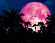 La Luna de Fresa y el solsticio de junio marcarán dos de los principales eventos astronómicos del mes, visibles desde Ecuador si las condiciones climáticas lo permiten.