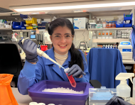 Investigadora ecuatoriana realiza ensayos en laboratorio de Mayo Clinic.