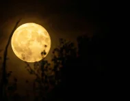 La Luna llena de septiembre tendrá lugar el sábado 26 y será conocida tradicionalmente como la Luna de la Cosecha o Luna del Maíz.