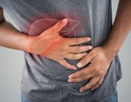 La hepatitis A afecta al hígado y puede prevenirse con medidas de higiene y consumo seguro de alimentos y agua.