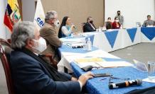 CNE- Arauz- candidatura- elecciones