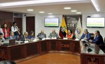 Pleno del CNE
