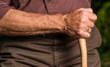 hand-588982_1920
