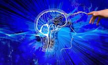 Cerebro en intensa actividad