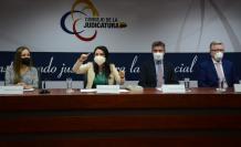 Judicatura- sentencia- constitucional