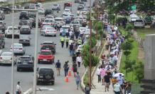trafico