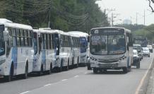 PARALIZACION DE BUSES (7153454)