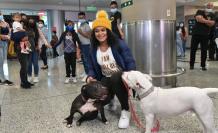 Bohaterowie recepcji Neisi-Dajomes-Angie-Palacios