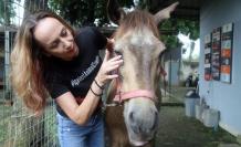 Caballo