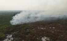 Bolivia pide ayuda a Brasil, Chile, Francia y Venezuela para contener los incendios forestales