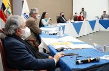 CNE- Arauz- candidatura- elecciones