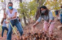 voluntariado en el Jardín Botánico