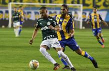 Delfín-Palmeiras