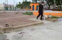 BALACERA EN DURAN (7603924)