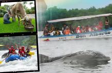 Turismo cerca de Guayaquil