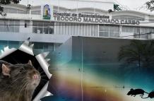 Rata hospital Teodoro Maldonado Carbo