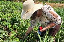 Innovación agrícola en la UG