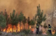 Mundo, Portugal, Luchan contra el centenar de incendios