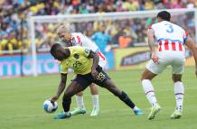 moises caicedo