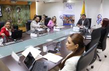 NUEVO PLENO DEL CPCCS