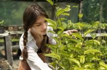 Invernadero casero: guía completa para cultivar en casa sin estrés