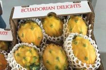 PITAHAYA