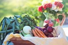 Una alimentación saludable requiere, entre otras cosas, la ingesta de frutas y vegetales. Sin embargo, también es necesario saber de dónde vienen los alimentos.