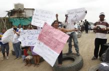socio viviente
