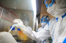 Coronavirus