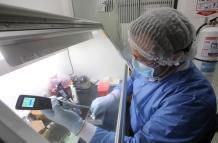 coronavirus pruebas