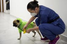Coronavirus en M{exico