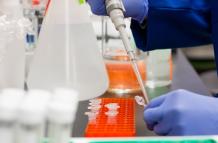 Coronavirus. Foto de stock de pexels.