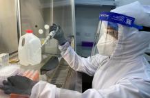 La UTE inició el procesamiento de pruebas PCR