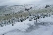 Nieve sierra