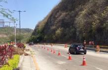 Se realiza la remoción de dos tramos del parterre central de la avenida Modesto Apolo.