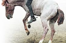 Destreza. Héctor Miño demostró su habilidad al momento de domar un caballo. 