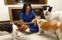 Para tranquilizar a los animales la noche del 31 de diciembre, en Ceibos Animal Care los cuidadores permanecen junto a ellos todo el tiempo.