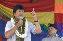 La hoja de coca está consagrada en la Constitución de Bolivia por sus usos tradicionales, medicinales y culturales, pero una parte de la producción es desviada al narcotráfico.