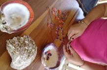 conchas 5