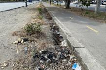 Basura vía a la costa