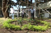 Siembra de plantas