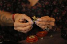Fotografía fechada el 14 de diciembre de 2020 de la actriz, comunicadora y activista Francesca Brivio mientras enseña una muestra de cannabis durante una entrevista con Efe en Lima (Perú).