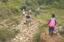 comunidad AWA