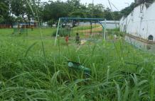 Parque Floresta 1