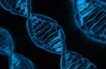 genes saltarines